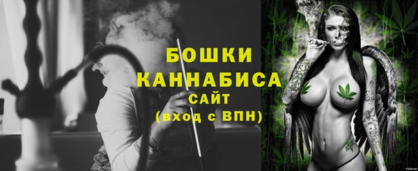 apvp Алексин