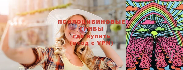 apvp Алексин